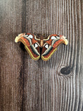 Brown Butterfly  | Wooden Needle Minder