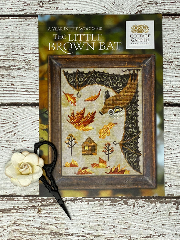 The Little Brown Bat | A Year In The Woods Series #10 | Cottage Garden Samplings