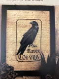 The Raven | Spirits of the Woods | The Primitive Hare