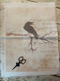 32 Count Evenweave | Fabric Flair | Dark Poe's Crow