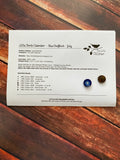 July - Blue Chaffinch | The Little Birds Calendar | The Little Stitcher