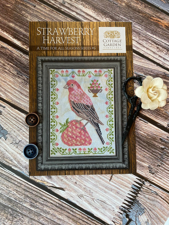 Strawberry Harvest | A Time For All Seasons Series #6 | Cottage Garden Samplings