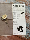 Cats' Eyes | Carriage House Samplings